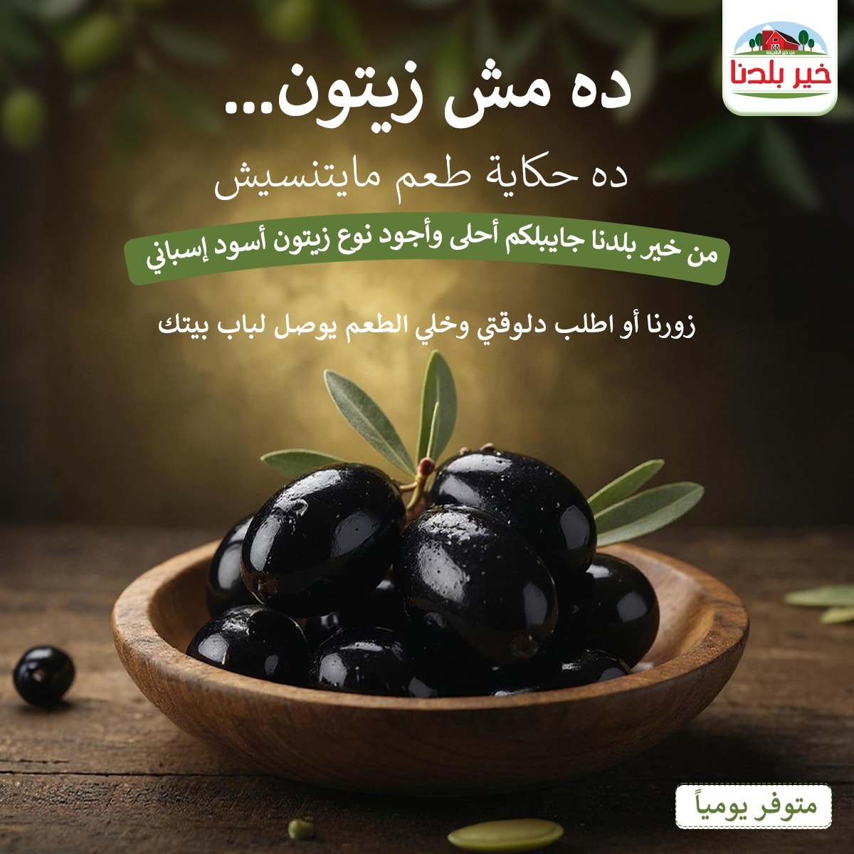 522180925_684462757890544_2042862603395856408_n