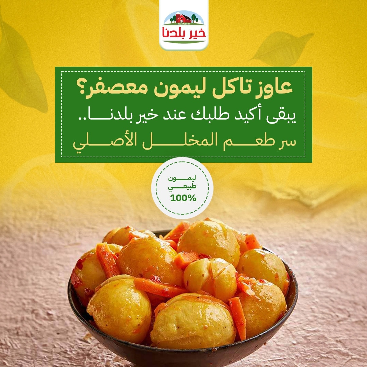 524303960_689840154019471_4577901668241054705_n