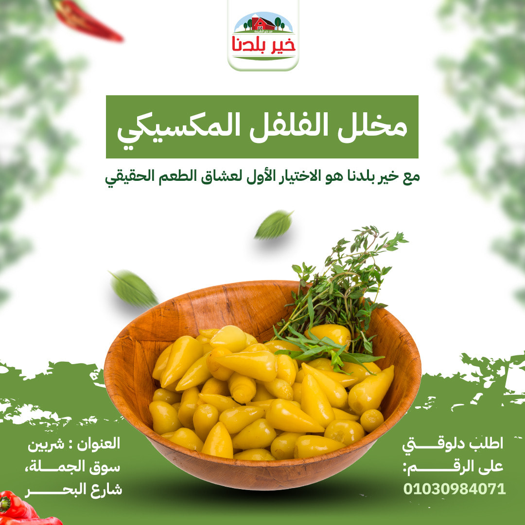 528462832_699494466387373_183027091049329191_n