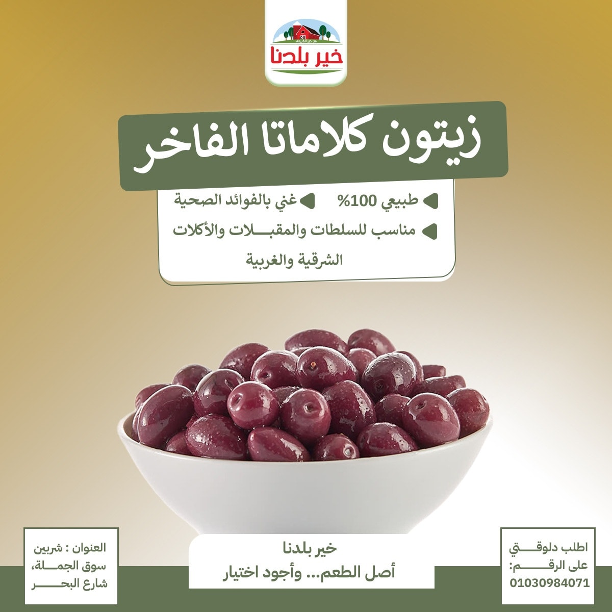 536275569_713120158358137_4535134036215190388_n